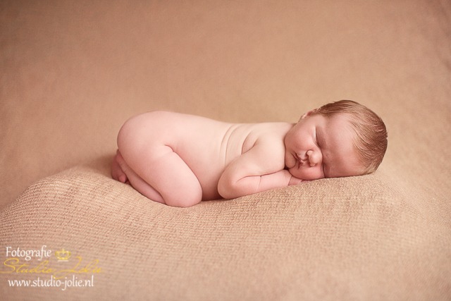 newborn fotoshoot spijkenisse